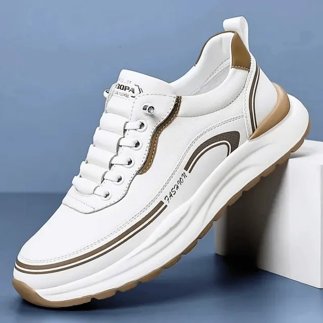 /6a2571fb94ce720009b317e6/2026/06/14/product-img-6a2ec27891ef3d0d28fa364e.png